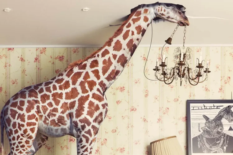 Kommunikation im Raum