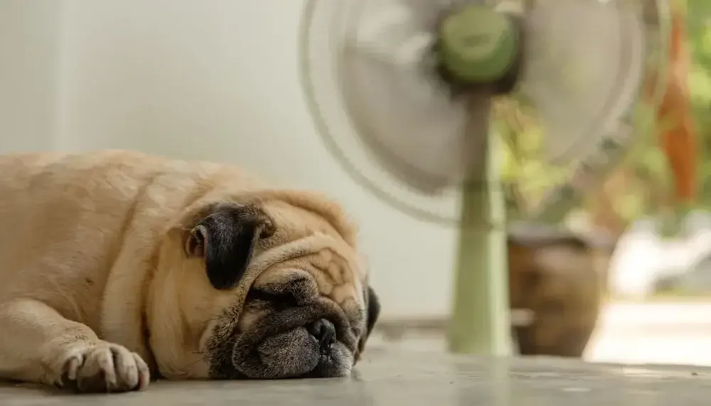 brainreserve.de-impressum